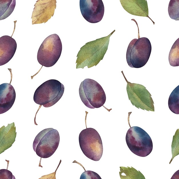 Watercolor summer seamless pattern from plums with leaves Handmade botanical illustration For poster cloth clothes decorations packaging invitations linens linen