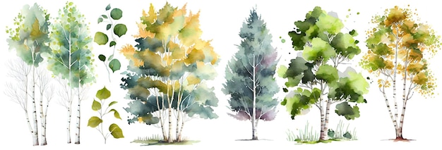 Watercolor trees collection Set of hand drawn trees Forest tree pack Generative Ai Birch trees