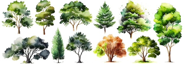 Watercolor trees collection Set of hand drawn trees Forest tree pack Generative Ai