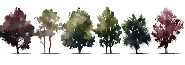 Watercolor trees collection Set of hand drawn trees Forest tree pack