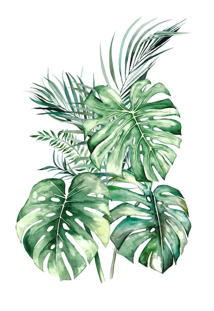 Watercolor tropical leaves bouquet 