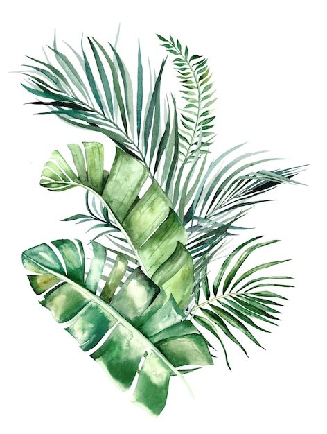 Watercolor tropical leaves bouquet 