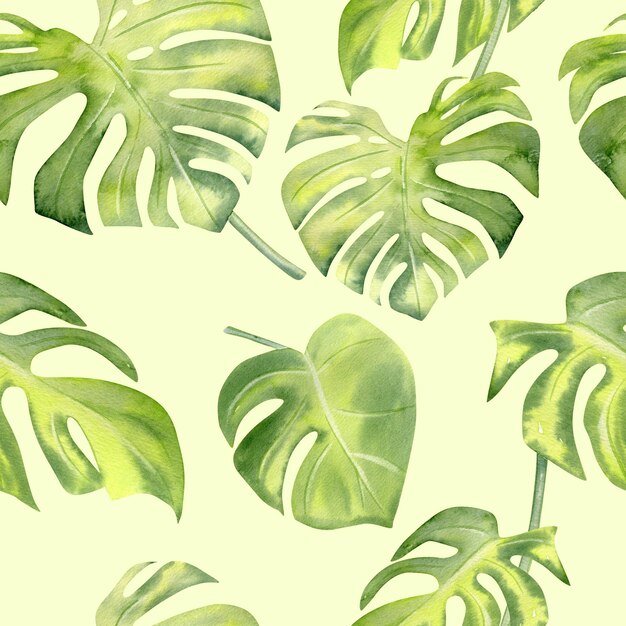 Watercolor tropical leaves monstera seamless pattern