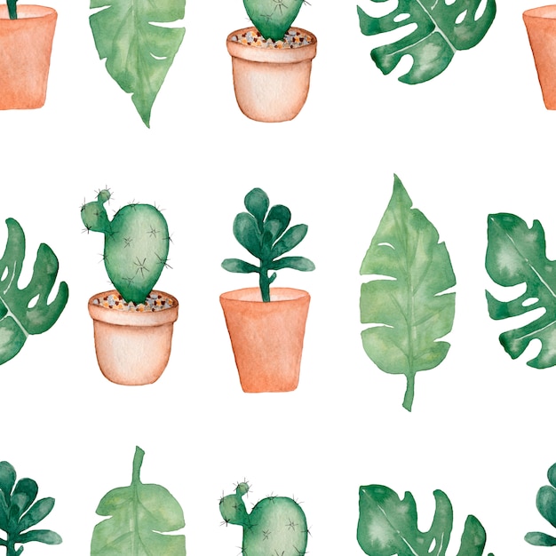 Watercolor tropical palm,monstera leaves with cactus  in pots and succulents