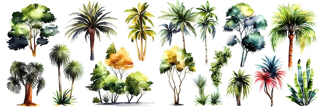 Watercolor tropical trees set Palm tree in green color isolated on white background