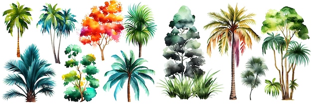 Watercolor tropical trees set Palm tree in green color isolated on white background