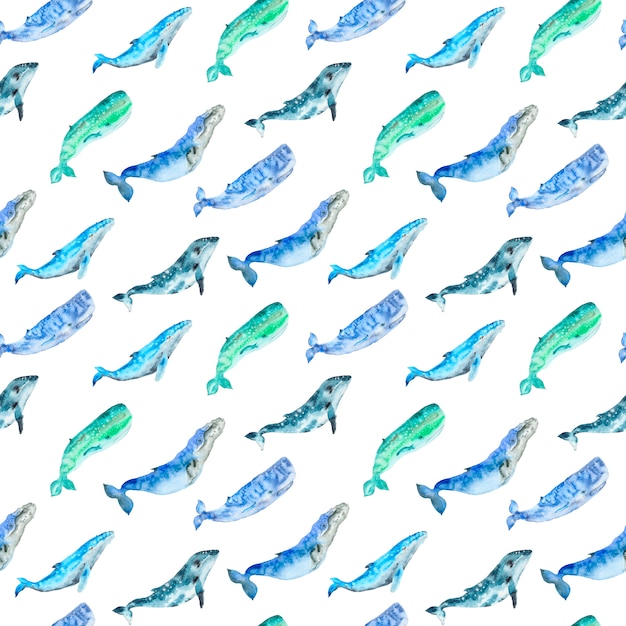 Photo watercolor whales pattern