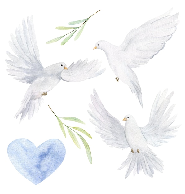 Watercolor white dove and olive branches Hand drawn watercolor illustration Decorative design elements