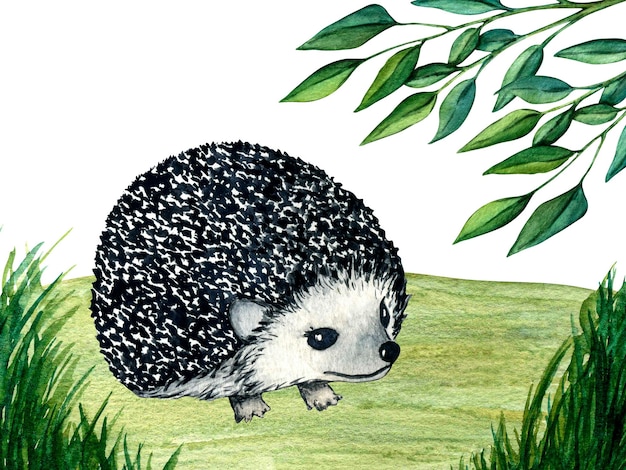 Watercolor wild forest animals hedgehog on forest lawn scene nature illustration for kids design