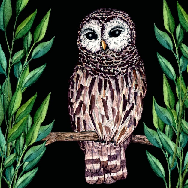 Watercolor wild forest animals owl isolated on black background Woodland handpainted illustration