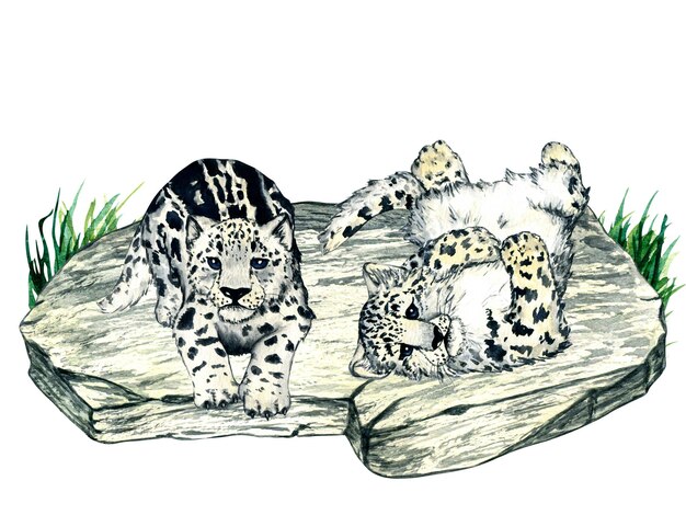 Watercolor wild forest animals snow leopard kitten irbis on forest lawn scene for nursery design