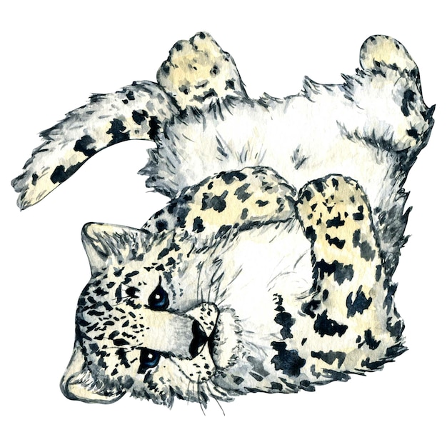 Watercolor wild forest animals snow leopard kitten isolated Woodland illustration for kids design