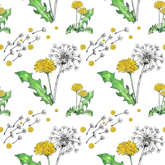 Watercolor wildflowers dandelions. Pattern seamless with wild flowers and leaves on white background