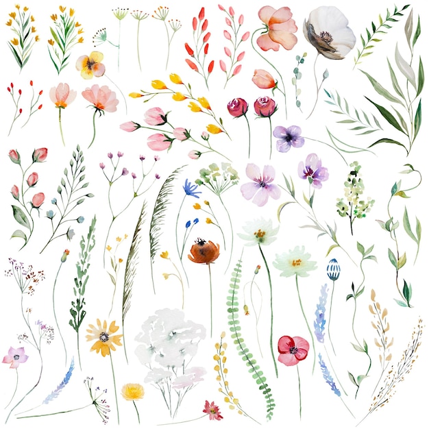 Watercolor wildflowers and leaves illustration set wedding and greeting elements