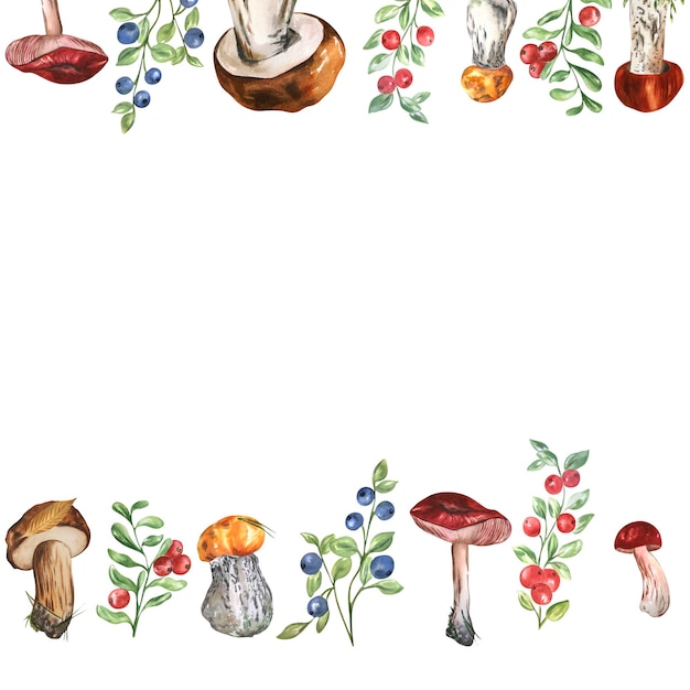 Photo watercolor work with mushrooms and wild berries on a white background can be used in the design of