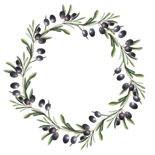 Watercolor wreath black olive berries leaves Hand painted floral border with olive fruit branches