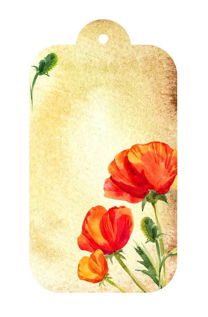 Watercolour beige label with poppies red summer flowers old paper texture hand drawn sketch