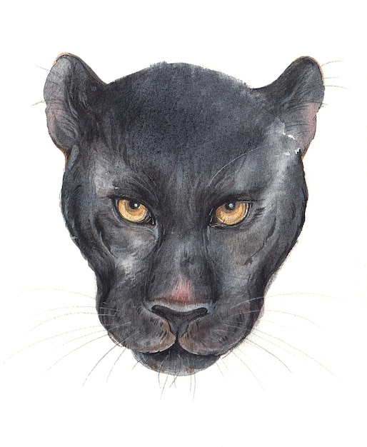 Watercolour Black Panther Face