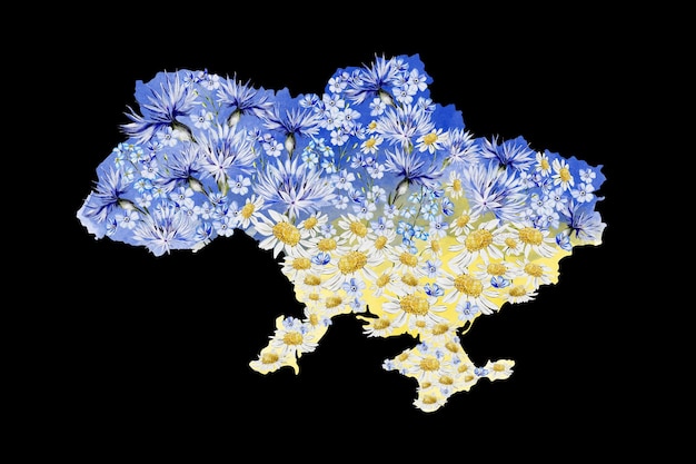 Watercolour drawing map of Ukraine decorated with blue and yellow flowers Illustration