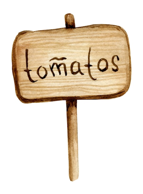 Watercolour wooden board with title tomatos hand draw illustration of framespase of text sketch