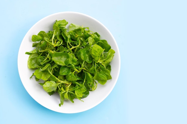 Watercress in bowl on blue background