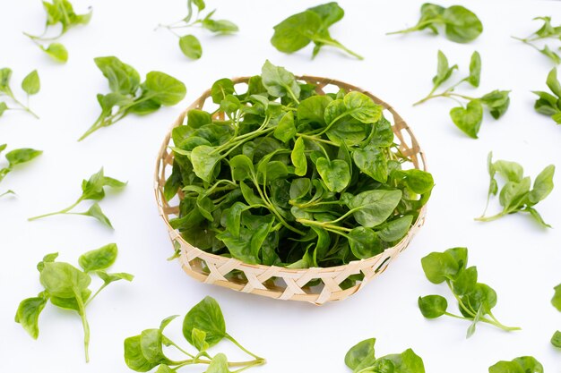 Watercress isolated on white background