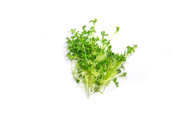 Watercress microgreen on white background isolate. Selective focus. nature.