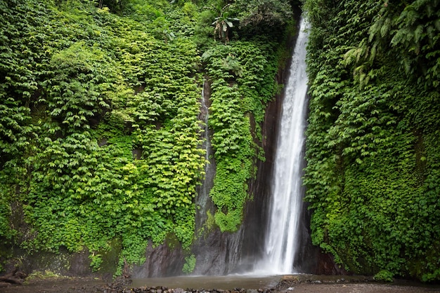 Waterfal in tropical forest in Bali Indonesia