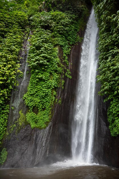 Waterfal in tropical forest in Bali Indonesia