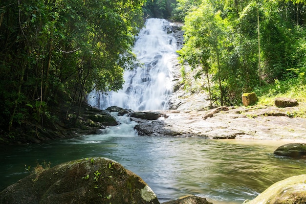 Waterfall in Abundant Clear Stream in the forest Beautiful waterfall river with crystal clear water morning light nature background