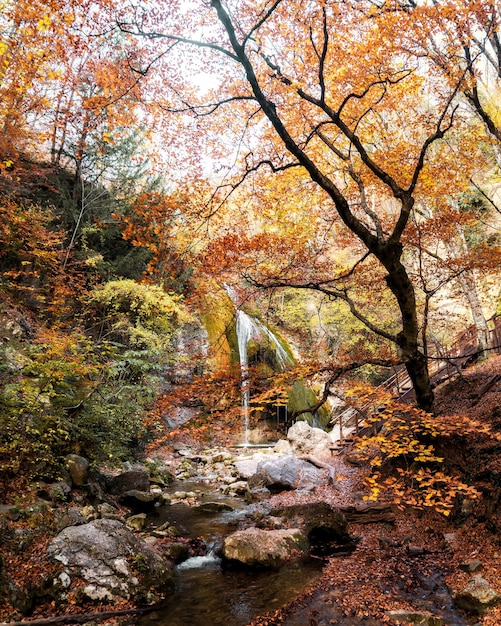 Waterfall in autumn forest