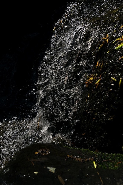 waterfall in autumn forest