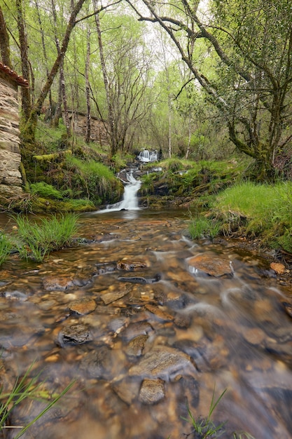 Waterfall in a beautiful forest in the area of Galicia, Spain.