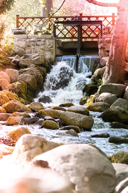 Waterfall cascade in Olivia public park Gdansk Poland River waterfall falls from cliff and trees Long exposure Tourist attraction with small waterfall and clear water