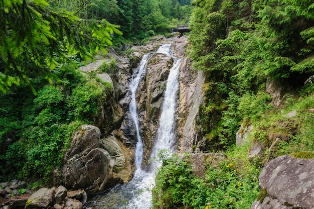 Waterfall in deep forest at mountains