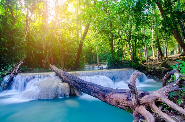 Waterfall in deep forest