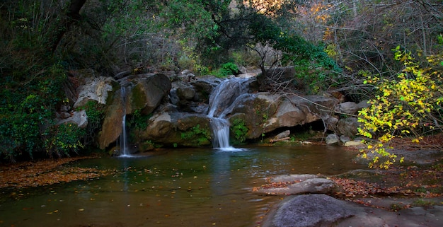 waterfall fall from forest creek in autumn