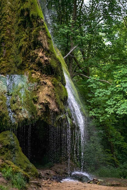 waterfall flows from the mountain in the summer forest. Close-up