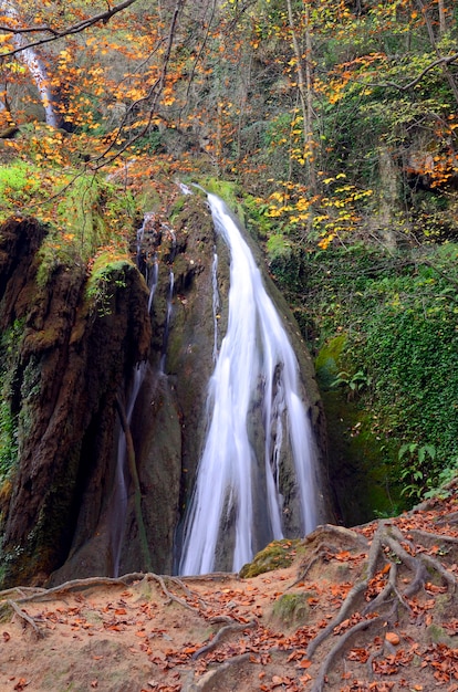 Waterfall in the forest of Altube