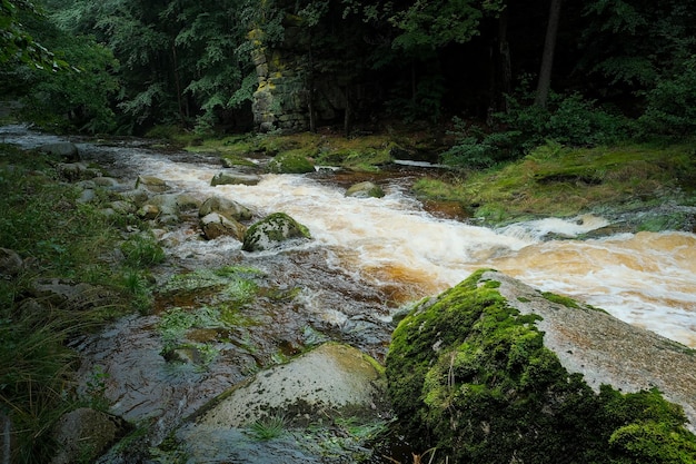 Waterfall in the forest mountain water wildlife mountain river turning into a waterfall