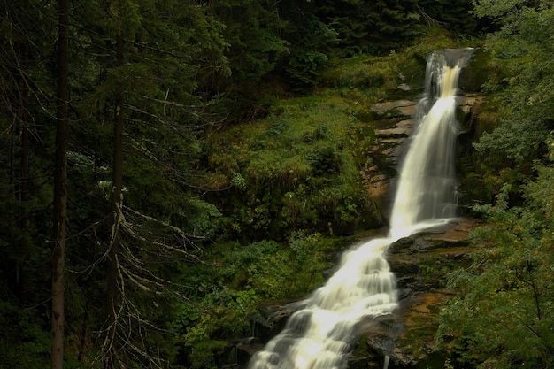 Waterfall in the forest mountain water wildlife mountain river turning into a waterfall