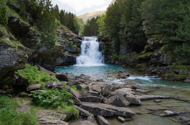 Waterfall forest stones