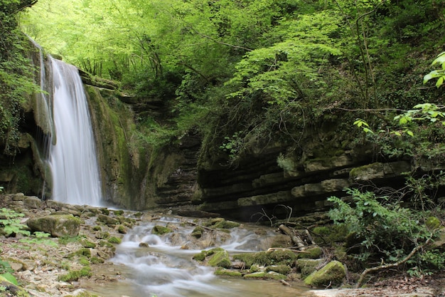 Photo a waterfall in the forest with green trees and a green background