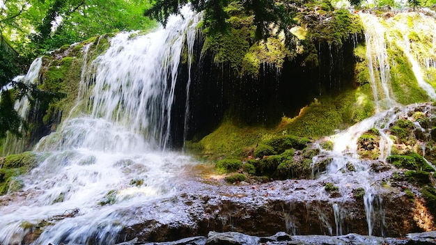 Waterfall in forest