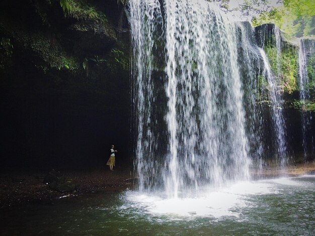 Waterfall in forest