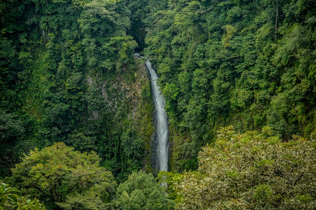 Waterfall on forest