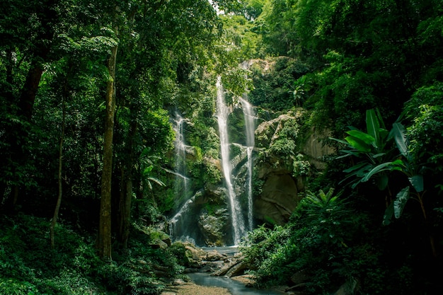 Waterfall in the forest