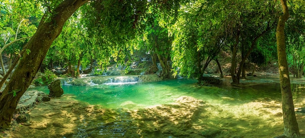 Waterfall in the forestBeautiful waterfall in green forest in jungle