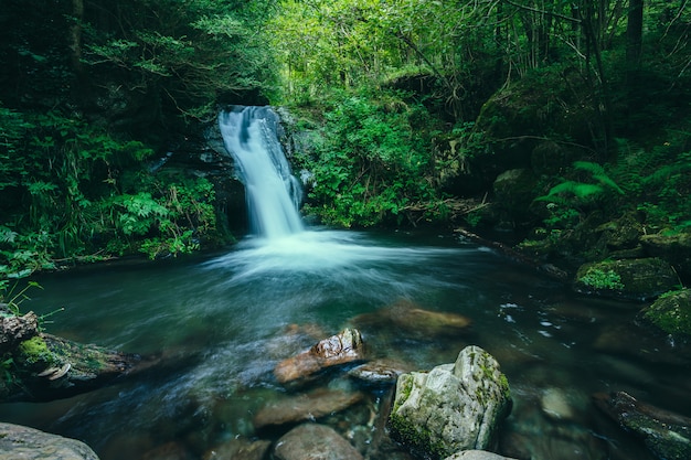 Waterfall inside the forest