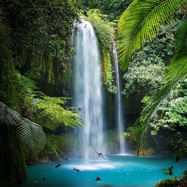 a waterfall in the jungle is surrounded by lush green vegetation